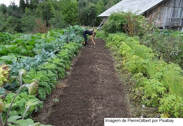 Senado aprova auxílio de R$ 2,5 mil por família para agricultores familiares