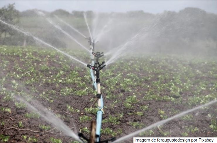 Artigo: A importância da gestão de recursos hídricos e da agricultura irrigada no nexo água e alimento