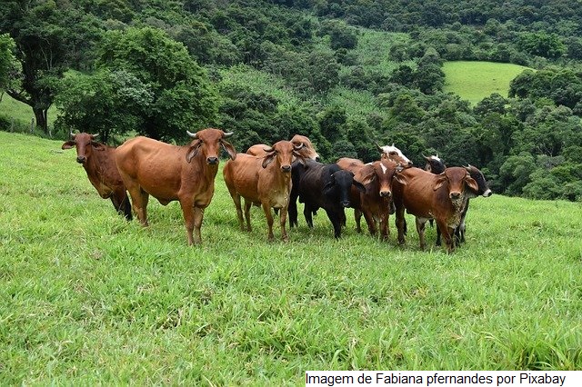 Ministro do Reino Unido comprova resultados dos sistemas de produção integrada