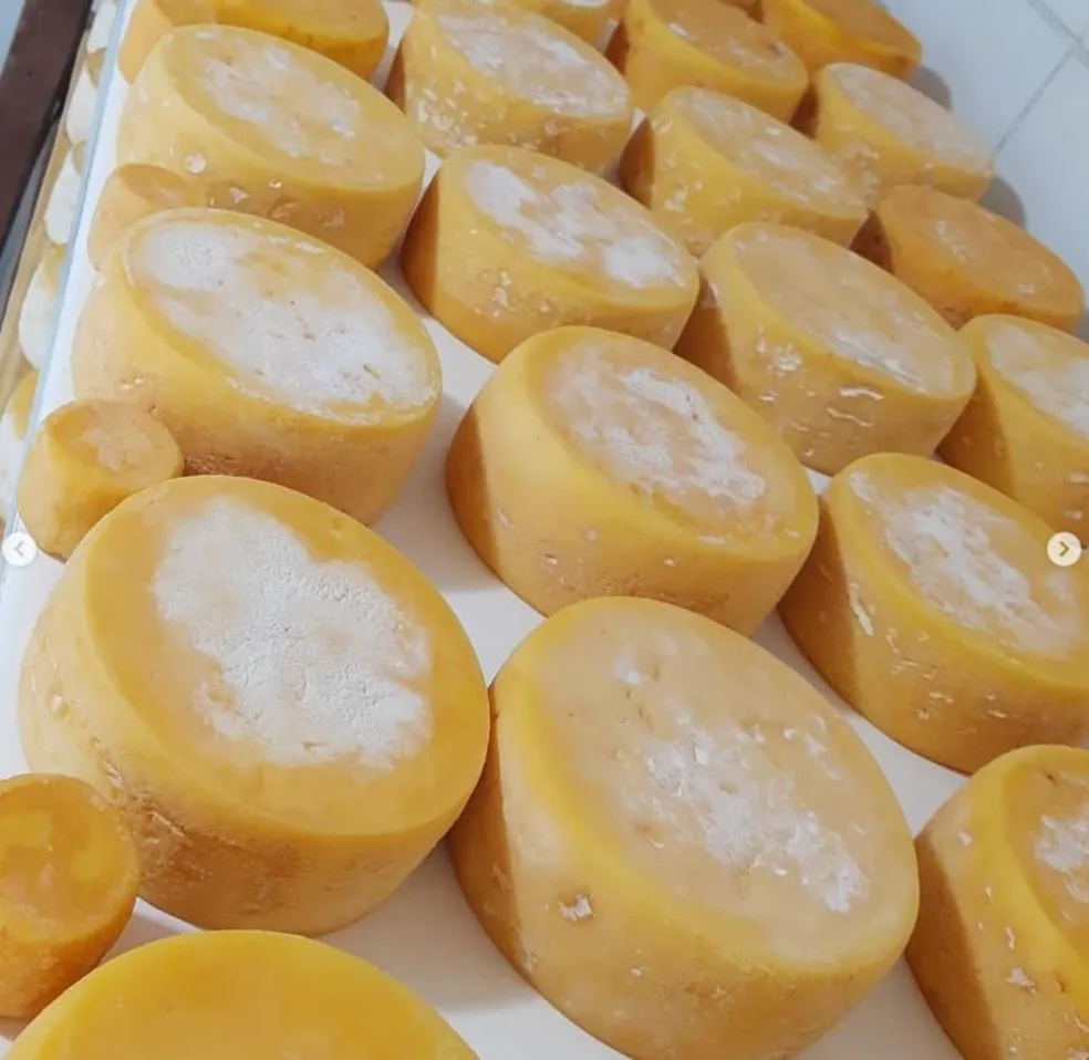 Dia Mundial do Queijo: conheça queijos mineiros premiados internacionalmente