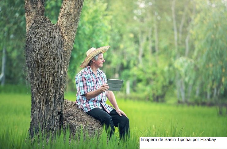 HF BRASIL/CEPEA: Agricultura digital já é realidade no setor de HF e quem a utiliza tem vantagem competitiva