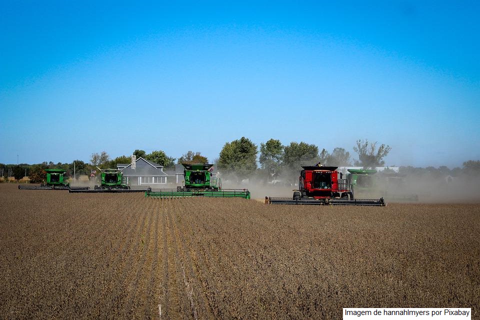 Soja: AgRural estima que área plantada cresça 1 mi de hectares em 22/23