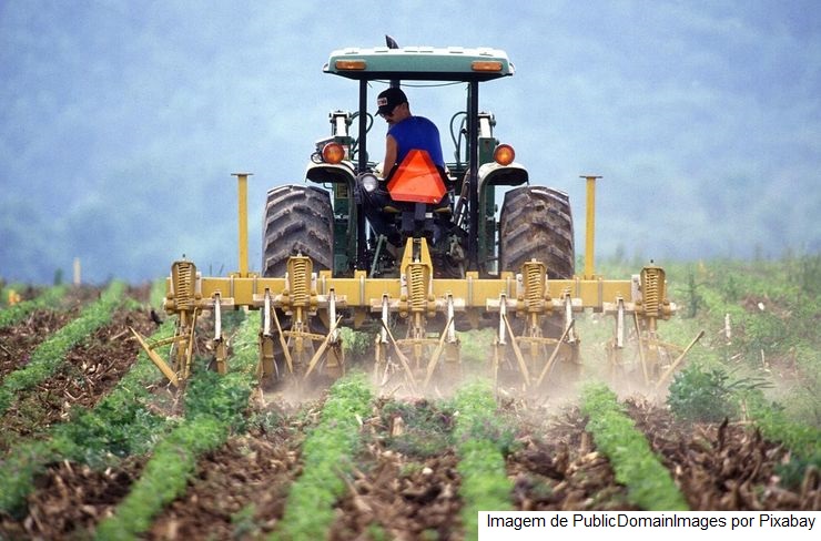 Agro mineiro exporta 12,1 milhões de toneladas e soma US$ 10,7 bilhões de janeiro a setembro
