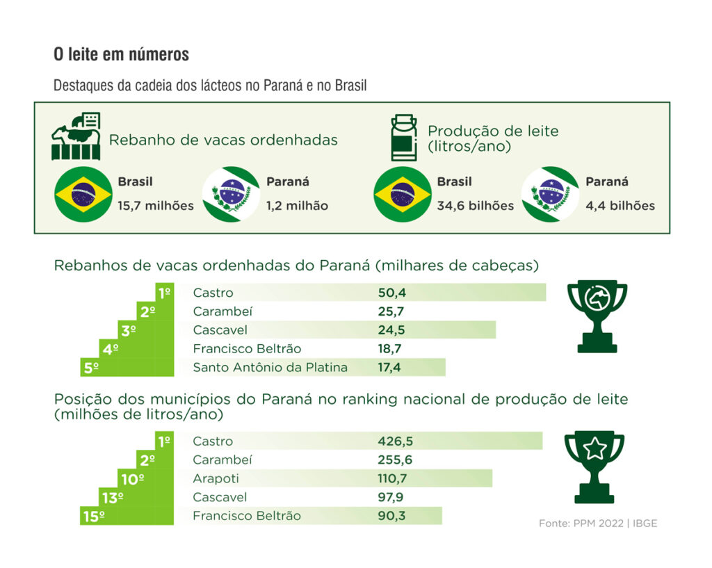 Em meio à crise, produtores de leite travam luta pela sobrevivência