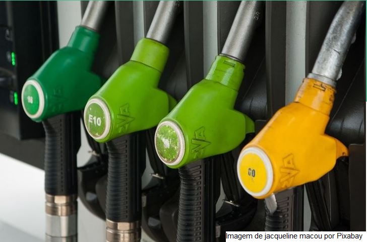 Consumo mundial de biocombustíveis deve se recuperar e crescer 8% este ano