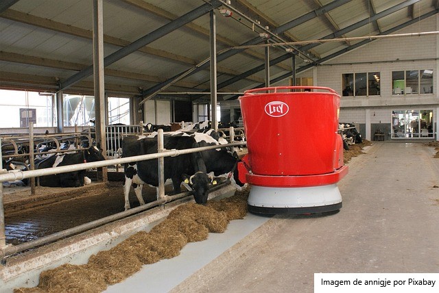 Automação no cocho e na ordenha eleva produção de leite em 7,4%, revela pesquisa global da Lely