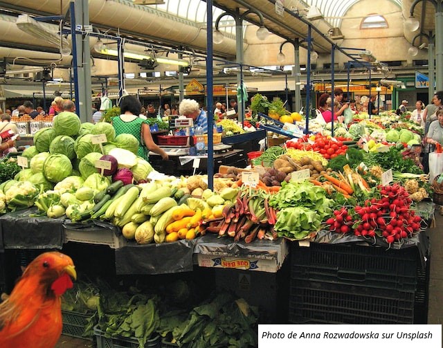 Publicada a Resolução que lança o 1º Plano Nacional de Abastecimento Alimentar – Alimento no Prato
