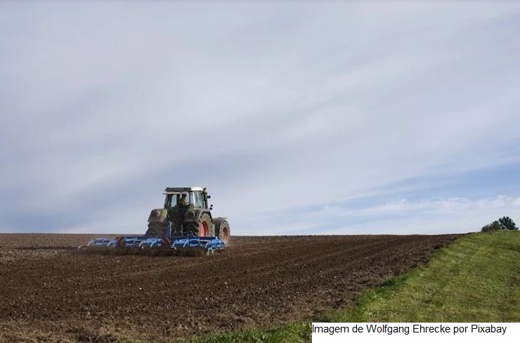 PIB do agronegócio de Minas Gerais é estimado em R$ 177,1 bilhões para 2021