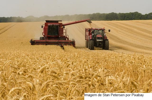 Trigo: USDA eleva safra 22/23 para 47,26 mi de t, acima das expectativas do mercado