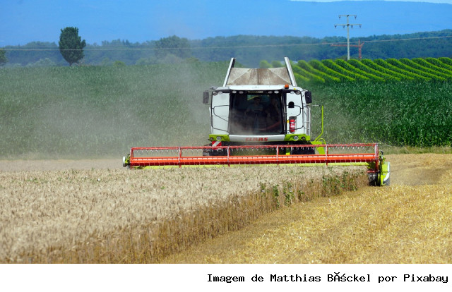 PAM 2024: Com queda nos preços e na safra de grãos, valor da produção agrícola cai pelo segundo ano seguido