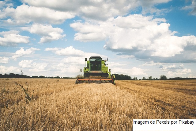 Valor da Produção Agropecuária fecha 2022 em R$ 1,189 trilhão