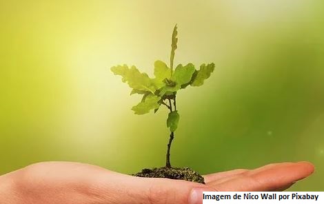 O agro não é o vilão ambiental