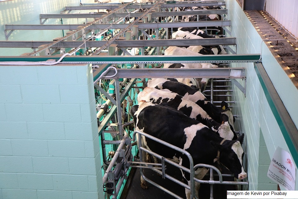 Após ‘Minas Grita pelo Leite’, governo anuncia renegociação de dívidas dos produtores de leite