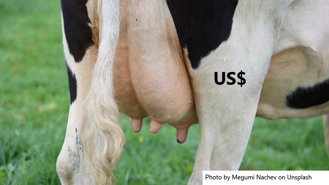 Uruguai – Preço do leite e dos produtos lácteos – agosto 2021