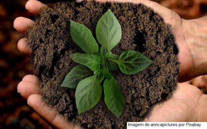 Sustentabilidade é prioridade para o agro mineiro