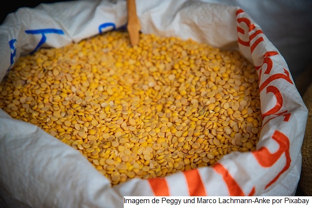 Conab economiza cerca de R$ 50 milhões dos cofres públicos em leilões para a compra de alimentos