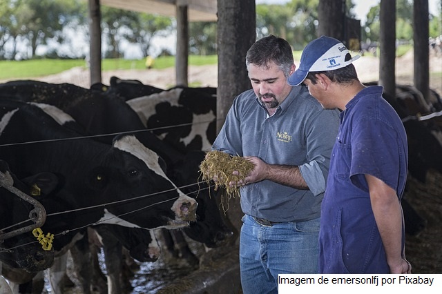 Com a ATeG o produtor é assistido desde a produção até a comercialização