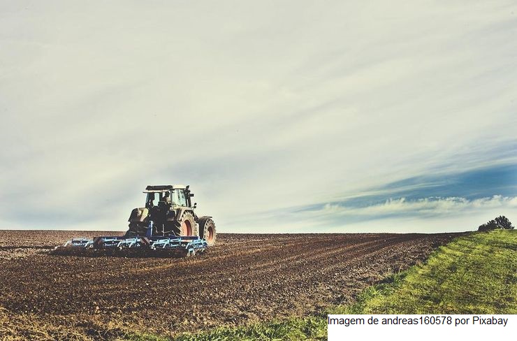 Qualificação eleva a produtividade agropecuária