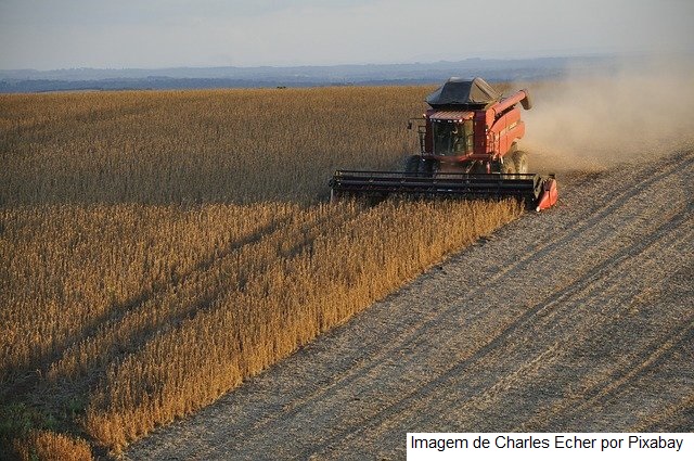 USDA: Colheitas de soja e milho dos EUA ficam próximas das expectativas do mercado
