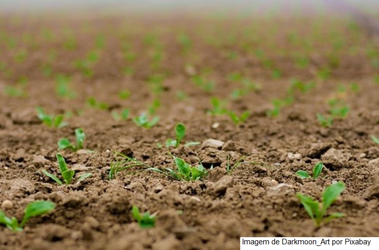 Agricultores receberam R$ 4,1 bilhões em indenizações de seguro rural entre janeiro e novembro de 2021