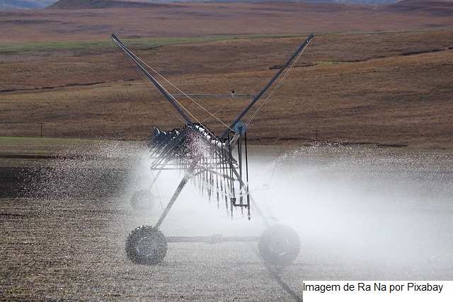 Seminário Mineiro de Irrigação impulsiona agricultura sustentável em Minas