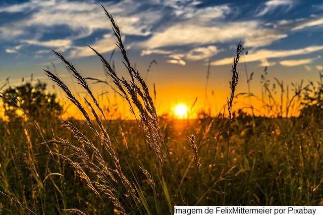 Vulnerabilidades da agricultura brasileira