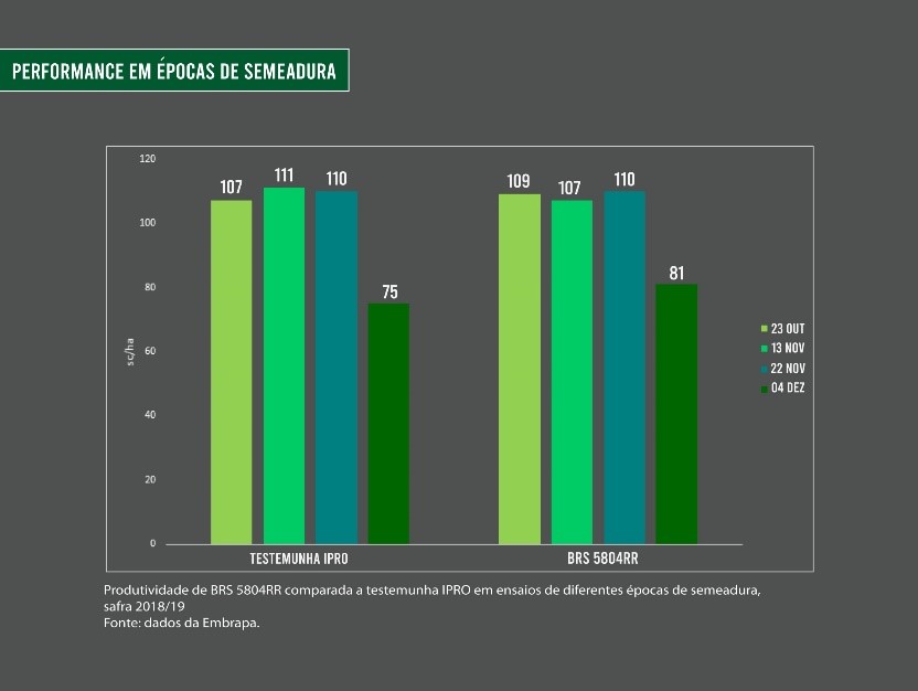 Soja RR: tecnologia Embrapa representa menor custo ao produtor no RS