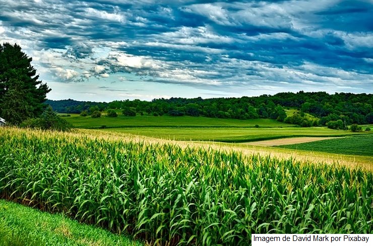 Secretários do Mapa ressaltam importância do seguro rural para minimizar perdas na produção