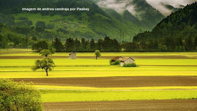 Produtores já podem ter acesso aos recursos disponibilizados no Plano Safra 21/22