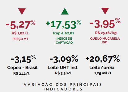 Preço do leite recua no MT em decorrência da maior oferta diante das condições climáticas favoráveis