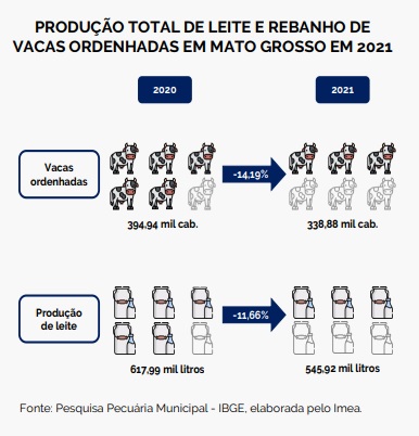 Preço do leite pago ao produtor de setembro em MT teve queda de 1,87%