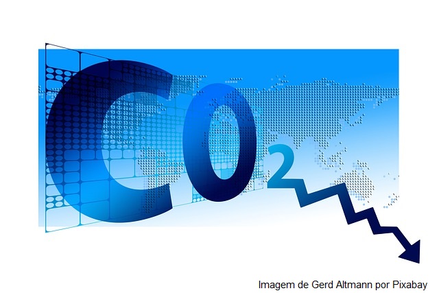Ministro debate mercado global do carbono na Câmara Árabe