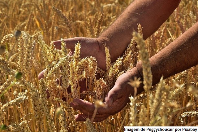 Mapa prepara novo cadastro nacional para registro de agricultores familiares