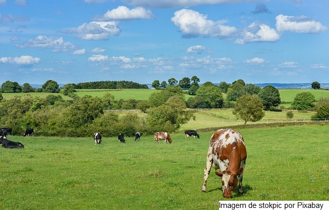 Cooperativa realiza Dia de Campo ATeG em Tarumirim