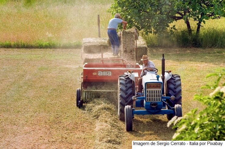 Agropecuária gera mais de 9 mil empregos formais em setembro