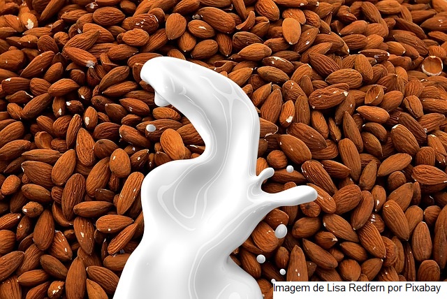Anvisa realiza oficinas sobre alimentos “plant-based”