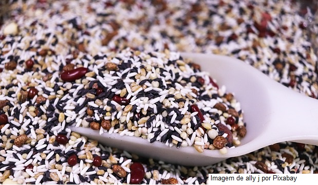 Conab realiza leilões para aquisição de 196 toneladas de alimentos para serem doados a comunidades em insegurança alimentar