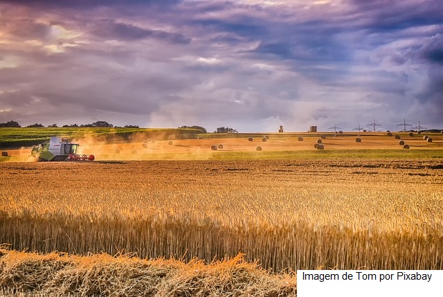 Valor da Produção Agropecuária previsto para 2023 tem o melhor resultado em 34 anos