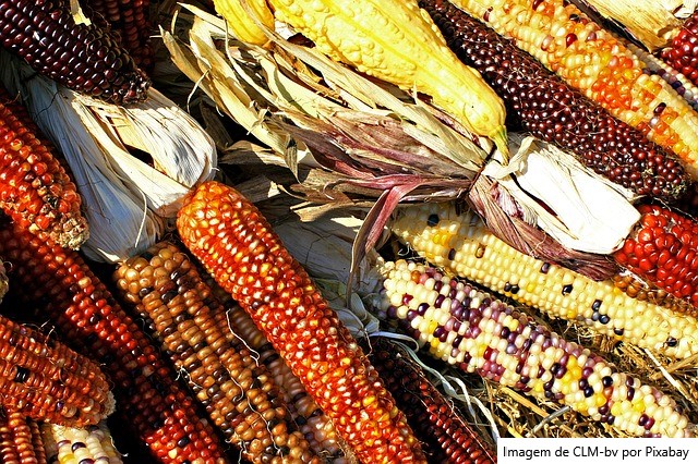 A FAO insta o setor agroalimentar a apostar na ciência para produzir mais com menos