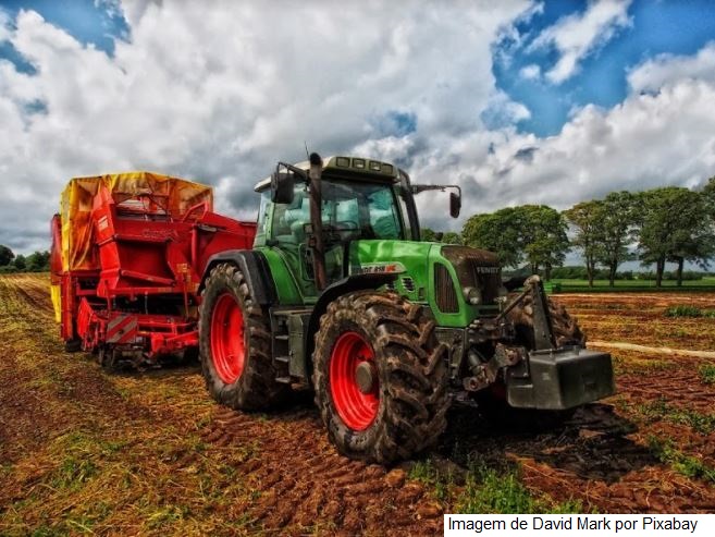 USDA: Embarques semanais de soja e milho dos EUA ficam dentro das expectativas do mercado