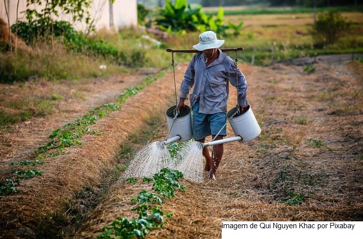 Fortalecimento da agricultura familiar é prioridade para o Governo de Sergipe