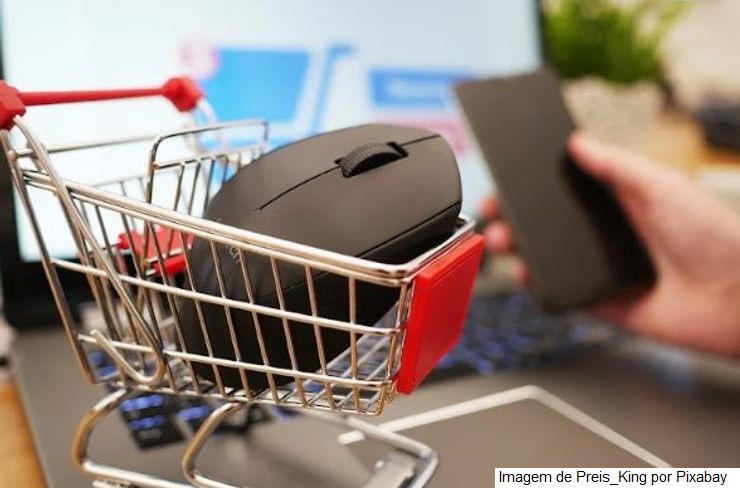 Entrega rápida ou preço baixo? O que os consumidores preferem nas compras online?