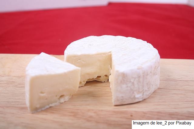Queijo frescal desenvolvido na UFMG pode prevenir e combater doenças inflamatórias intestinais