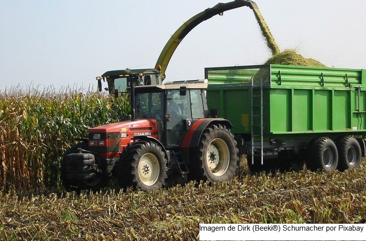 VBP deve crescer 13,8% em MG