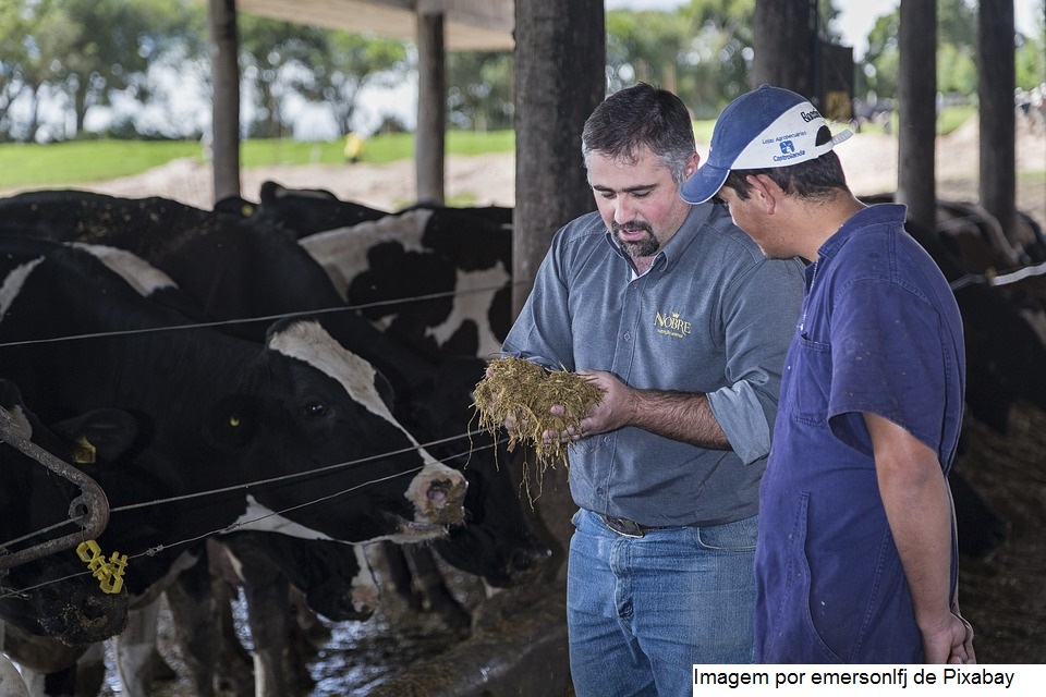 Visitas a produtores do ATeG na regional de Patos de Minas