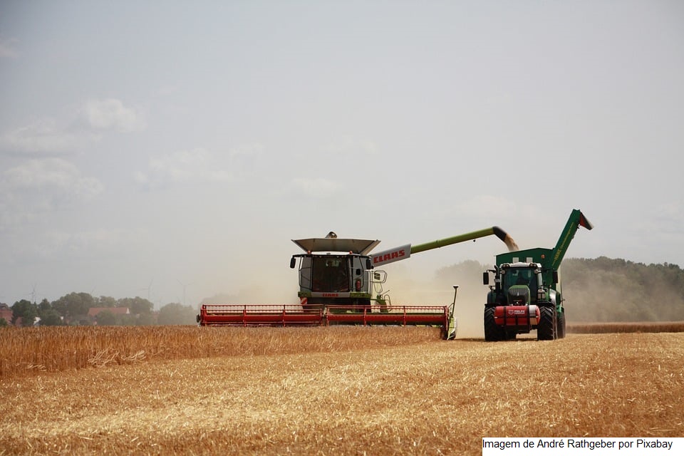 PIB do Agro paulista avança 11,4% no 1º bimestre de 2024