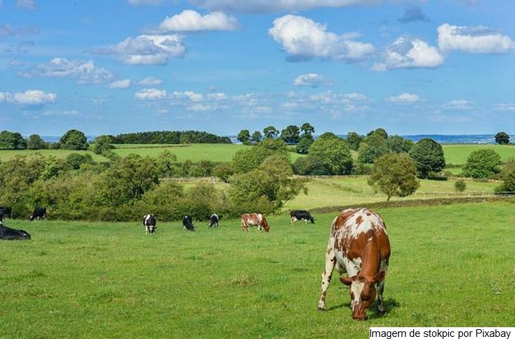 Agricultura de precisão pode melhorar o sistema ILP