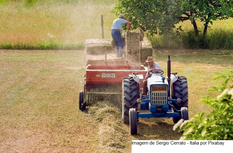 Seagri e Ministério da Agricultura assinam protocolo para criação do Comitê Gestor para Inovação Agropecuária