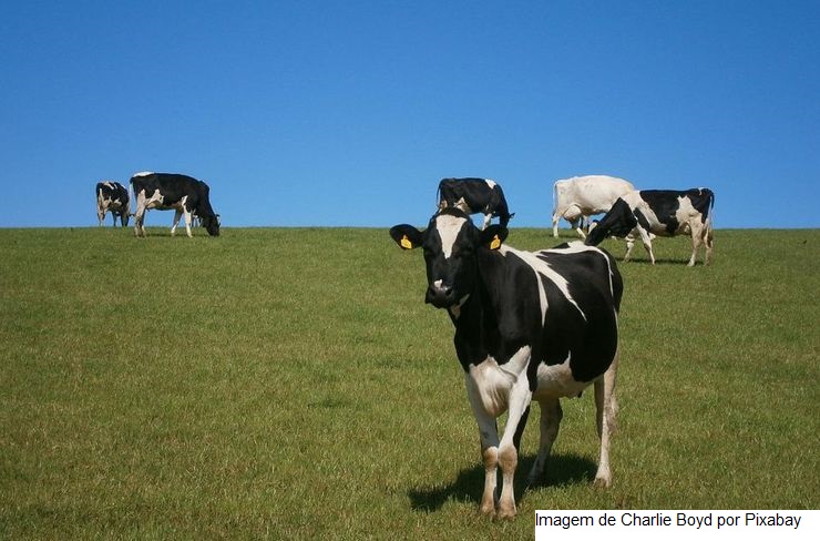 Selo internacional impulsiona investimentos na pecuária do Paraná