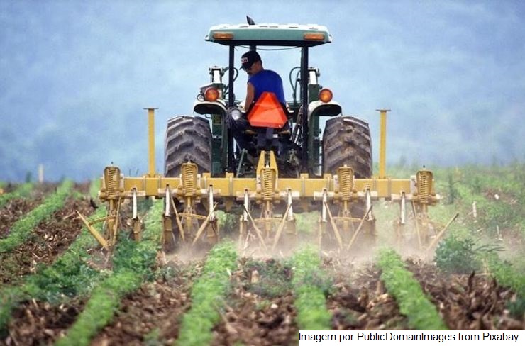 Primeiras cultivares de soja com tecnologia Xtend chegam ao mercado